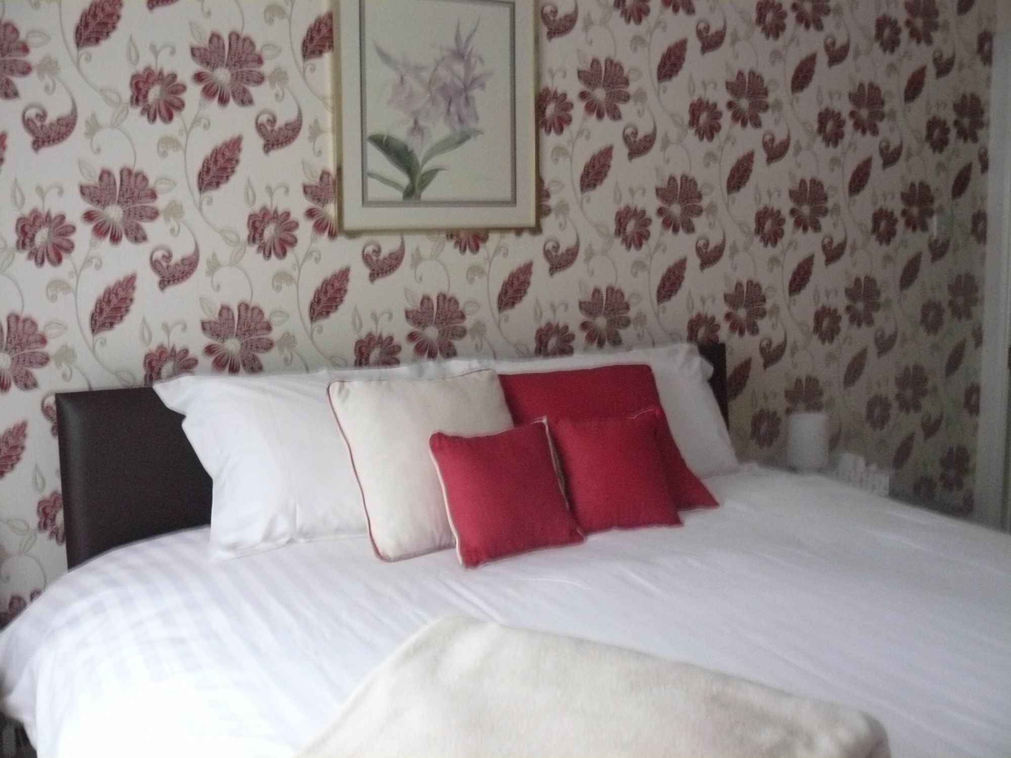 Landford Forest View B&B المظهر الخارجي الصورة